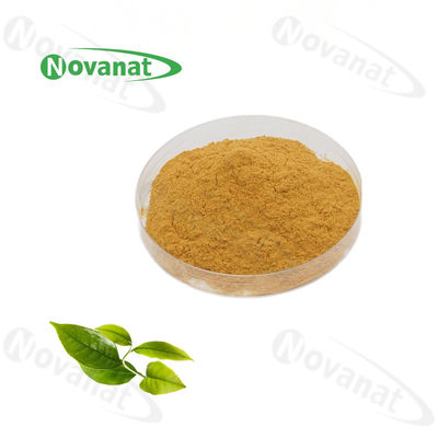 Green Tea Extract 98% Tea Polyphenols/80% Catechins/50% EGCG /Decaffeinated