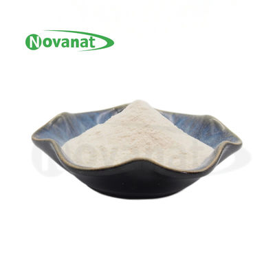 Bifidobacterium Longum Subsp Longum BL88-Onlly / Vegan / Allergen Free / Gluten Free / Dairy Free 