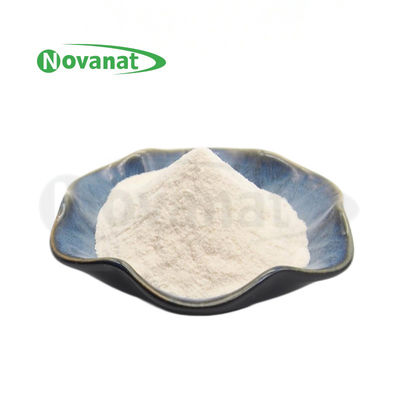 Lacticaseibacillus Rhamnosus LR22/500billion CFU / G / Vegan / Free Allergen / Gluten / Dairy