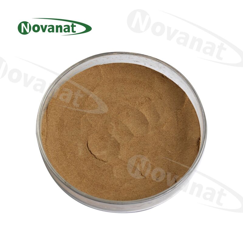 Eucommia ulmoides Leaf Extract 5% Chlorogenic acid/Clean Label/Allergen Free