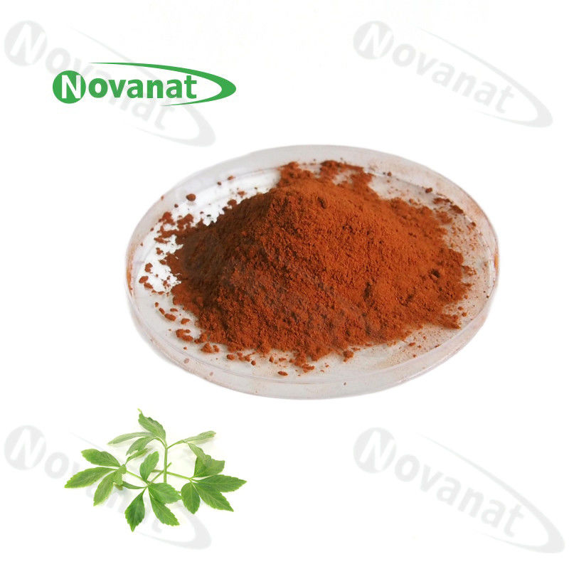 Gynostemma Pentaphyllum Extract Herbal Extract Powder 20% 80% 90% Gypenosides / Clean Label