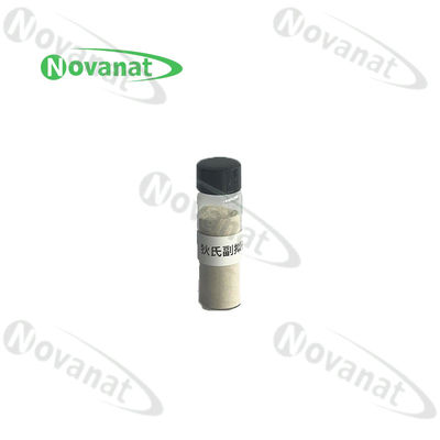 Pasteurisierte Parabacteroides distasonis PD001 / Postbiotika