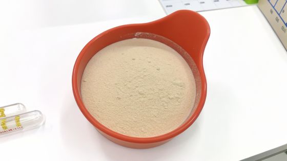 Pasteurisierte Parabacteroides Distasonis PD001 / Postbiotika / Weiß bis grau in Getränken verwendetes Pulver / Produkt bester Qualität