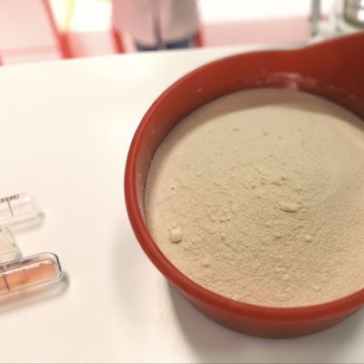 Pasteurisierte Parabacteroides Distasonis PD001 / Postbiotika / Weiß bis grau in Tierfutter verwendetes Pulver/Produkt von bester Qualität
