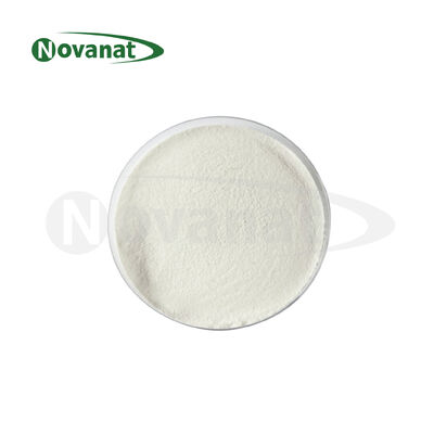 Pasteurisierter Lactococcus lactis subsp.lactis LLL-05 Postbiotika-Pulver, vegan/allergenfrei/glutenfrei/milchfrei