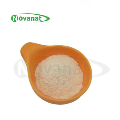 Bifidobacterium Animalis Subsp. Lactis BI516 / Veganer / Allergenfrei / Glutenfrei / Milchprodukte