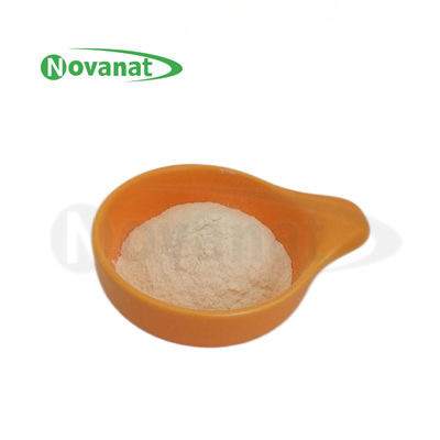 Pediococcus Acidilactici PA10 500Milliarden CFU/g Probiotika Pulver Vegan/allergenfrei/glutenfrei/milchfrei