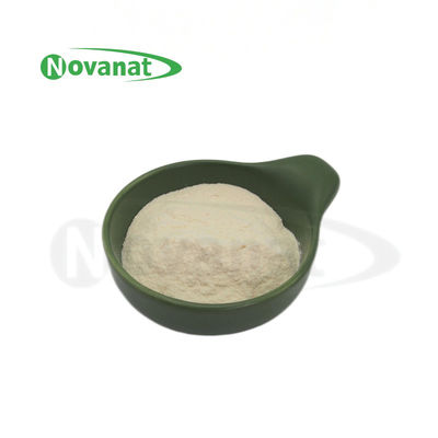 Levilactobacillus brevis LBr05 300 Mrd. CFU/g Probiotika Pulver / Allergenfrei / Glutenfrei / Milchfrei