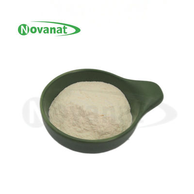 Lacticaseibacillus rhamnosus LR22/Veganer/frei von Allergenen/Gluten/Milchprodukten/Verdauungsgesundheit