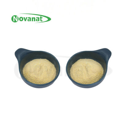 Lactiplantibacillus plantarum LP-Only Postbiotika Pulver Tyndallized / Vegan / Allergenfrei / Glutenfrei / Milchfrei