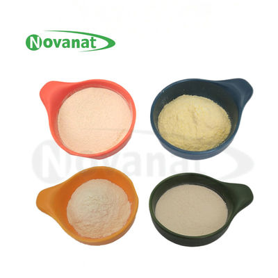Lactiplantibacillus plantarum LP-Only Probiotika Pulver Vegan / Allergenfrei / Glutenfrei / Milchfrei