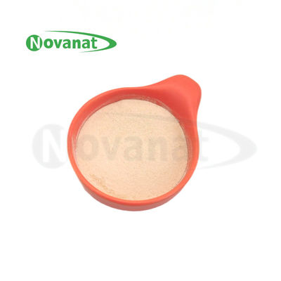 Bifidobacterium animalis subsp. lactis BI516 Postbiotika Pulver Tyndallized / Vegan / Allergenfrei / Glutenfrei / Milchfrei
