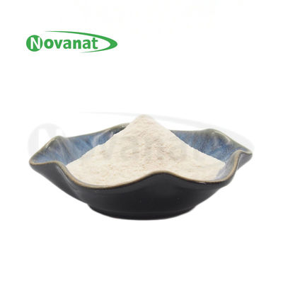 Limosilactobacillus reuteri LE16/200Milliarden CFU/g/Veganer/frei (Allergen/Gluten/Milchprodukte)