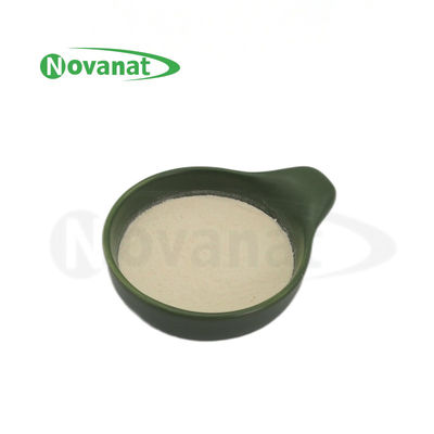 Lacticaseibacillus Paracasei LPC28 / 400Milliarden CFU/g / Veganer / Allergenfrei / Glutenfrei / Milchprodukte