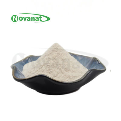 Milchsäurebazillus amylovorus Lam600 50billion CFU/g/Vegan/frei (Allergen/Gluten/Molkerei)